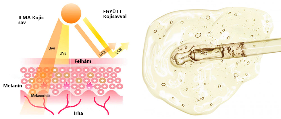 LOVILDS™ 💖 Dr. Gerald Jaar - Hungarian Eye Center Ajánlott termékek: Awaken peptid lifting szemgél x