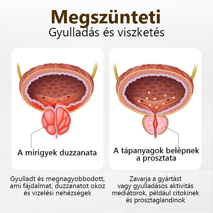 Mondjon búcsút a prosztatával kapcsolatos kellemetlenségeknek🛡️ Lenaro™ ProstaVibe Honey Delay Inhaler💪